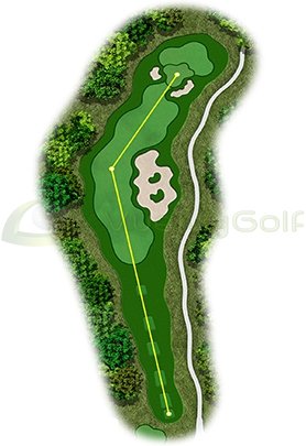 2d golf graphic