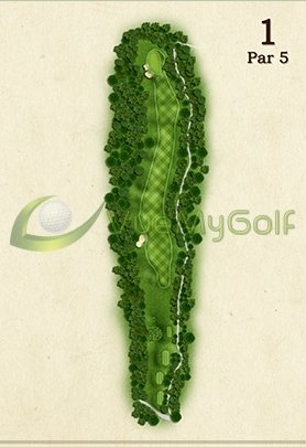 custom golf