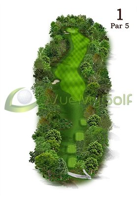 par 5 golf