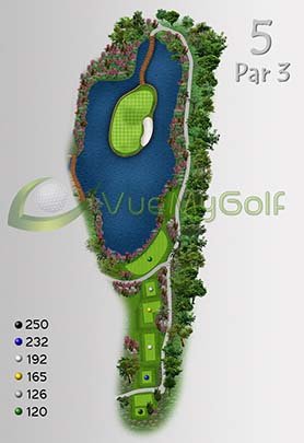5 par 3 golf