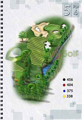 2d golf graphic